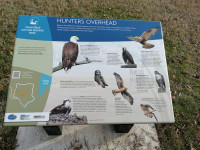 Swan Lake Nature Reserve